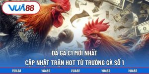 đá gà C1 mới nhất