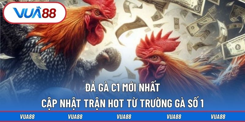 đá gà C1 mới nhất