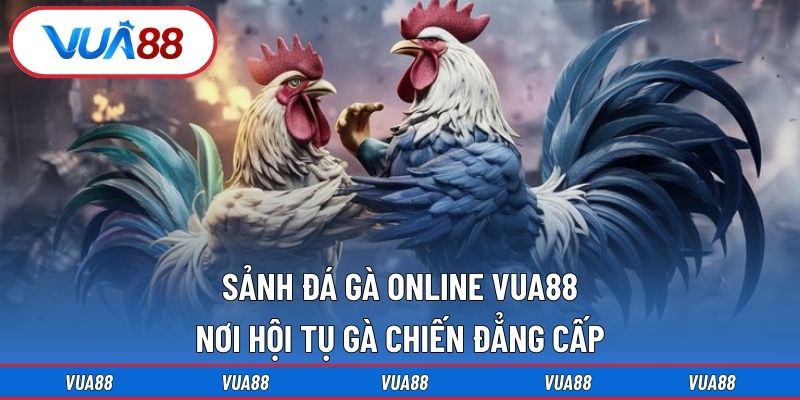 sảnh đá gà online Vua88